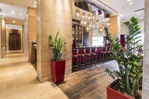 modern hotel bar and hallway with floor plants